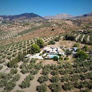  Bed & Breakfast Amorosa